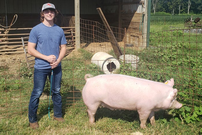 DuQuoin FFA member shows his pig at the Virtual Section 24 Livestock Fair