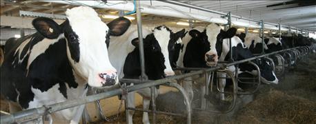 professional_dairy_producers_foundation_elects_officers_1_636061526842654183.jpg