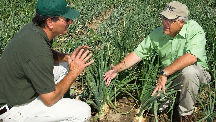 WFP-ARS-onions-research.jpg WFP-ARS-onions-research.jpg