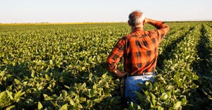 Farmer-In-Field-PointImages-iStock-Getty-Images-Plus-519364356.jpg