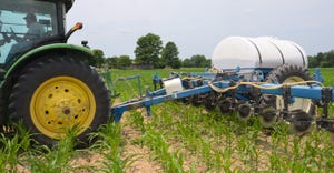 tractor applying nitrogen to young field of corn