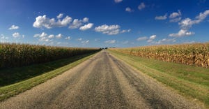 rural road through cornfields