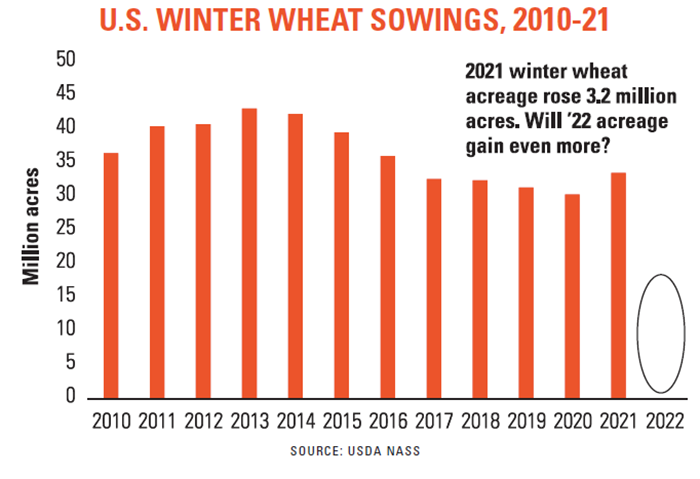 US winter wheat sowings