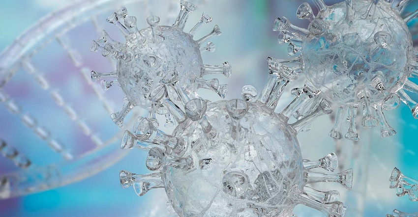 The clear virus for medical or sci concept 3d rendering - stock photo The clear virus for medical or sci concept 3d rendering - stock photo