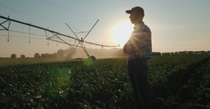 Silhoutee of farmer watching the irrigation in a cornfield using the center pivot sprinkler system at sunset..
