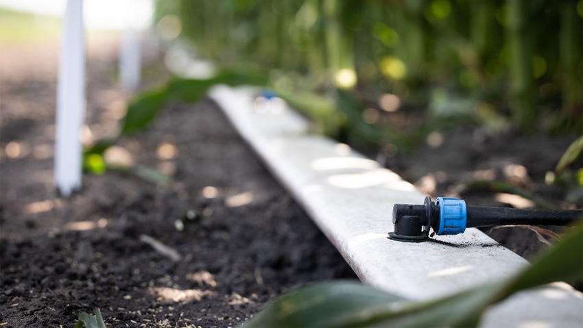 watering tube system on soil watering tube system on soil
