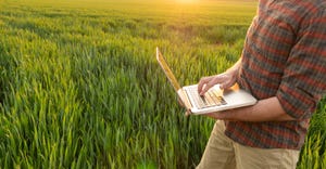 person holding laptop in the field