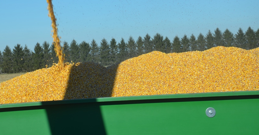 corn in grain cart