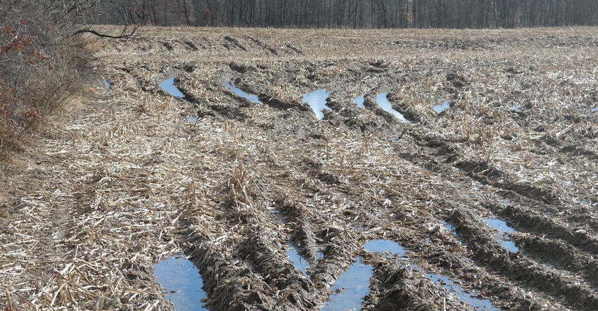agriculture field with water ponding in deep tire tracks