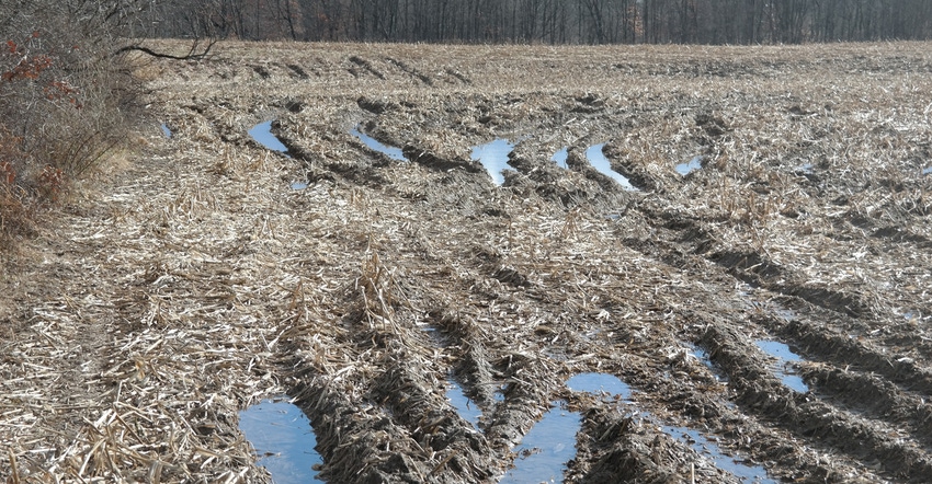 agriculture field with water ponding in deep tire tracks agriculture field with water ponding in deep tire tracks