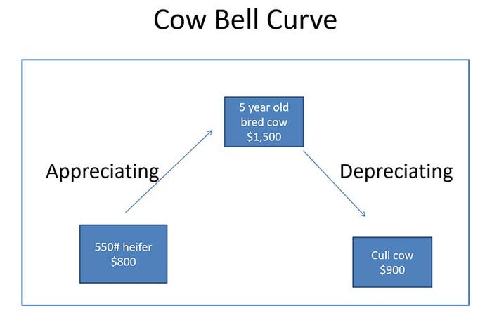 cow-bell-curve.jpg