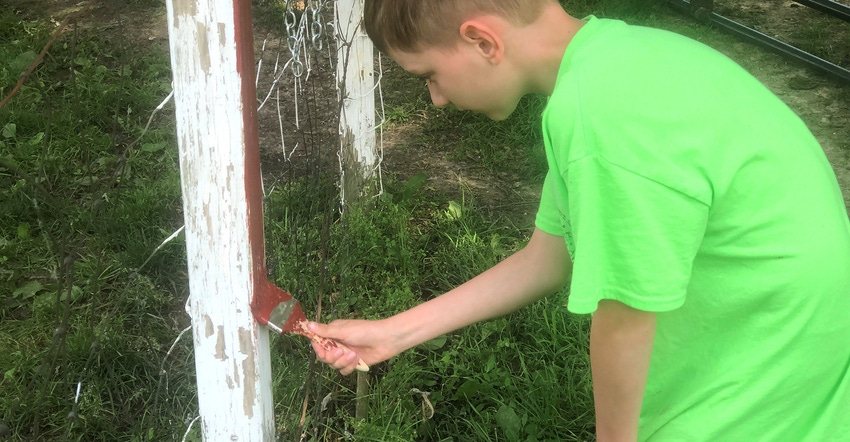 Graham painting a fence post