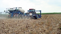 【OK plant】 teamfinKinze4flat_1.jpg