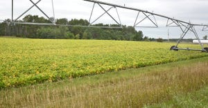irrigation equipment in green and yellow field 