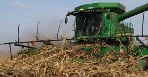 Don Van Dyke harvests downed corn 