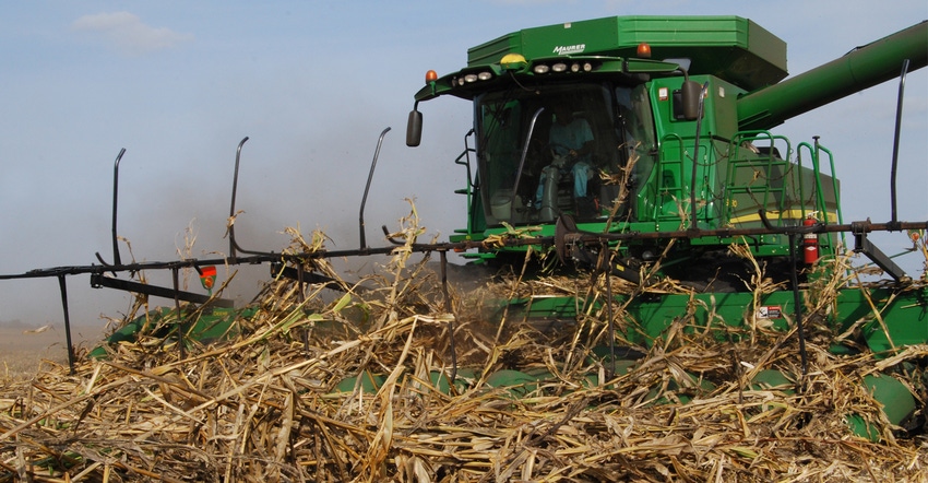 Don Van Dyke harvests downed corn 