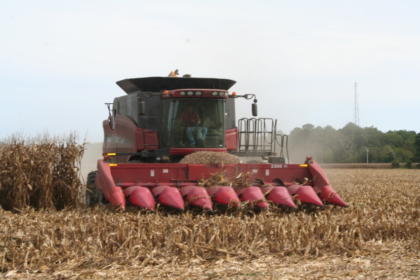 North Carolina corn crop bright spot 2013
