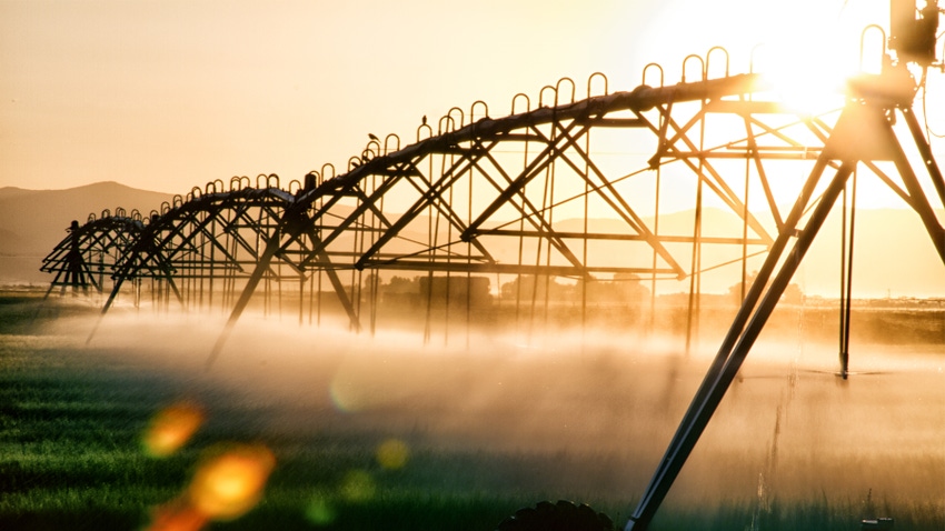 Irrigators across farm field
