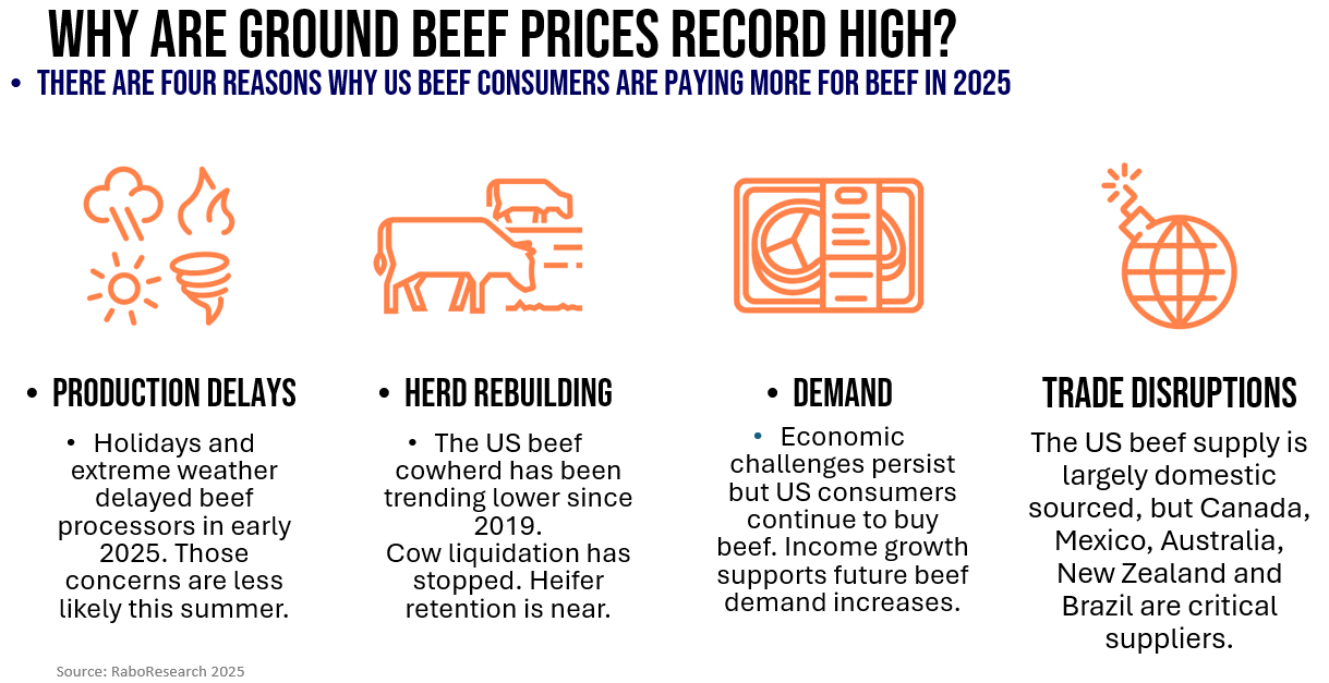 Infographic showing why ground beef prices are record high