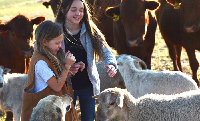 Reina and Ella Payne with Katahdin sheep and cows