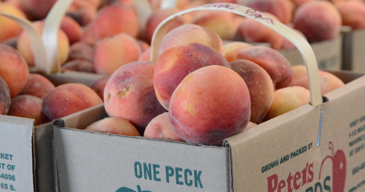 Peaches  Peters Orchards