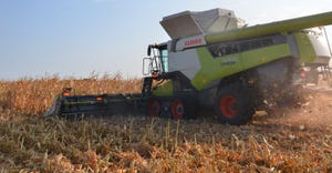 CLAAS Lexion combine harvesting cornfield