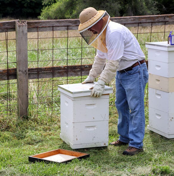 MU Extension agronomist and beekeeper Travis Harper 