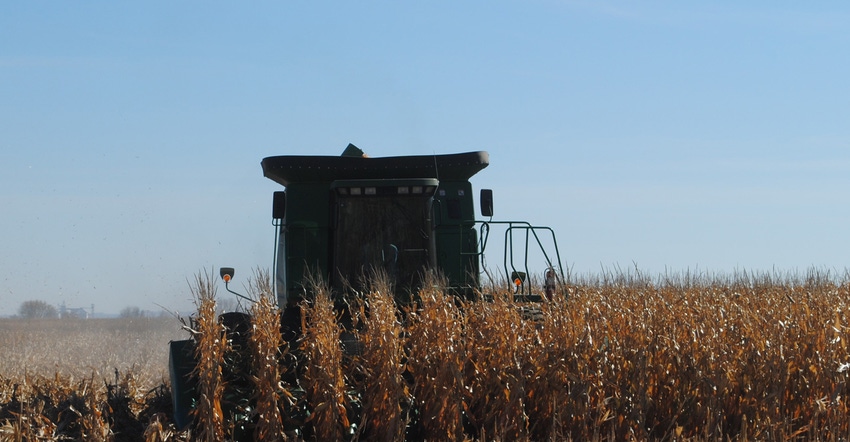 Combine in corn field