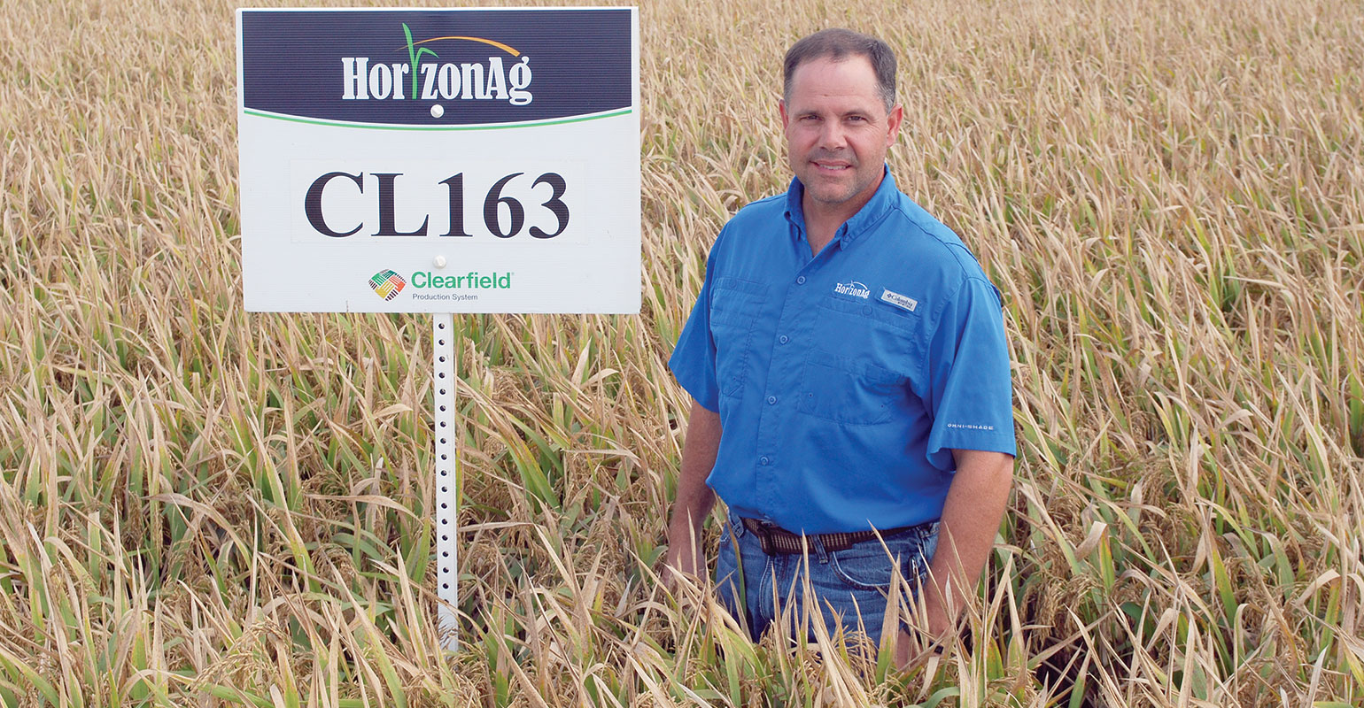 A conversation about new rice technology with Horizon's Tim Walker