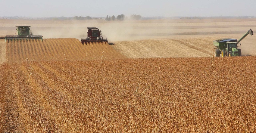Harvest Crew Covers an Iowa Soybean Field