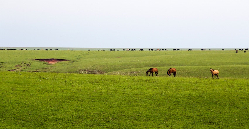 Rolling prairies in flint hills of Kansas