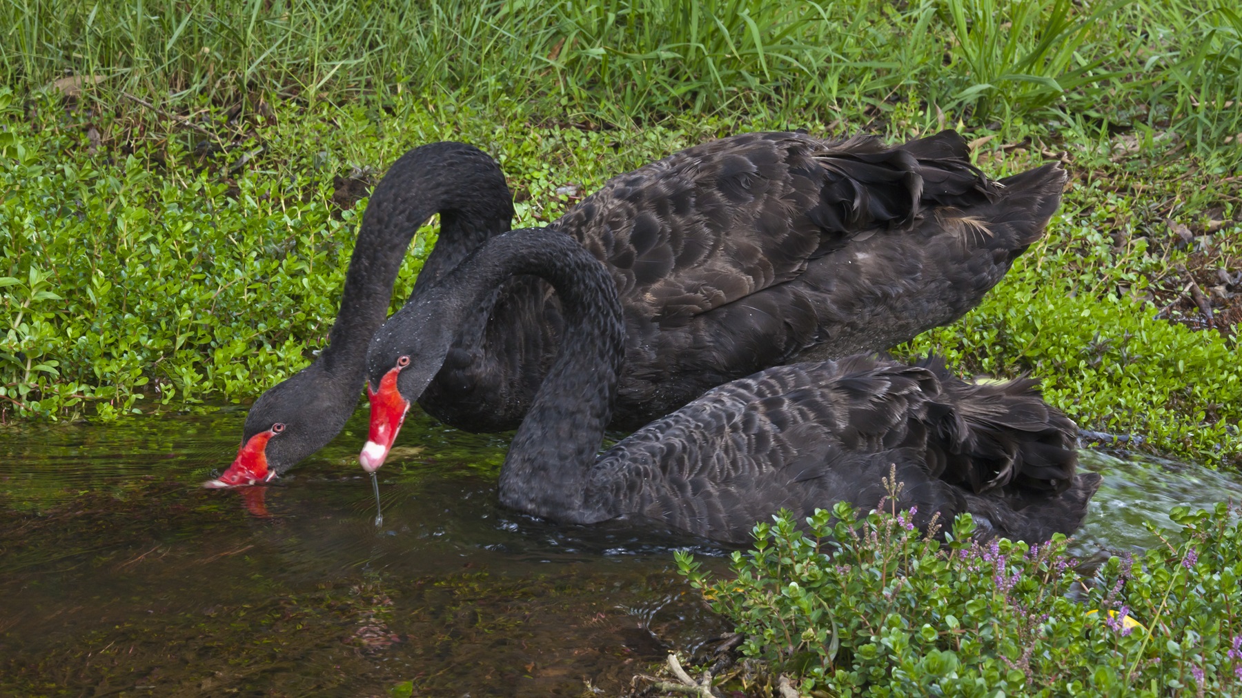 Ten megatrends impacting agriculture: Part 2