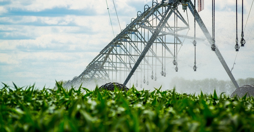 irrigation in green field