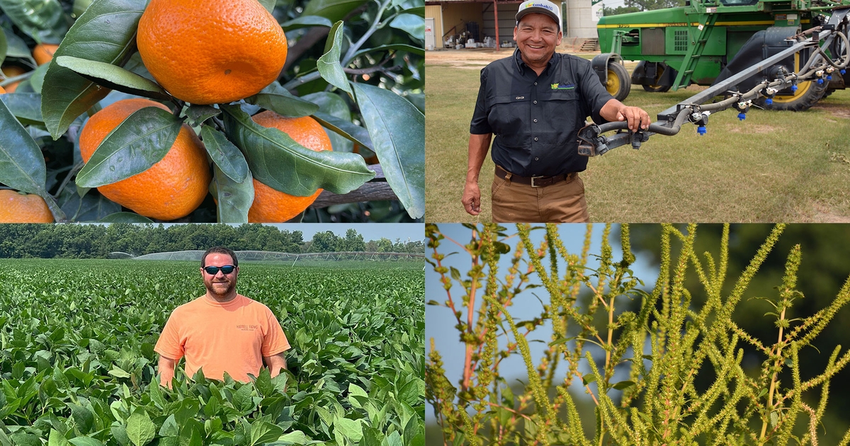 Southeast Farm Press 12 favorite stories of 2023