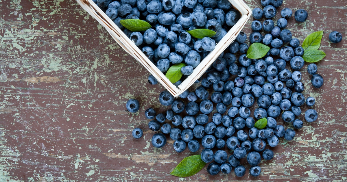 7 appointed to new Michigan Blueberry Commission