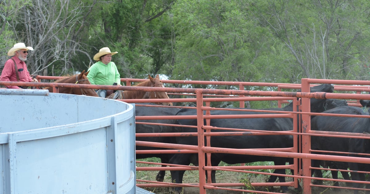 UNL publishes new livestock-related custom rates
