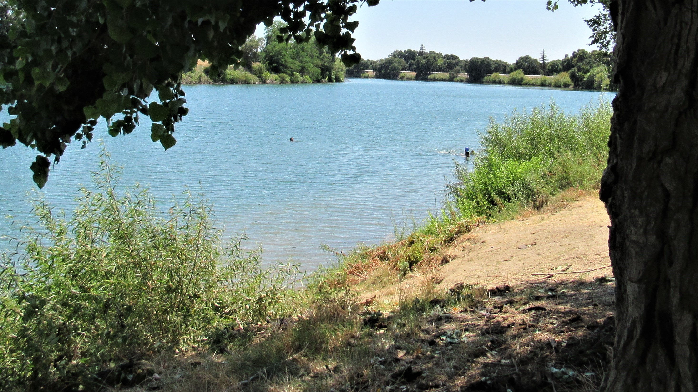 Sacramento River