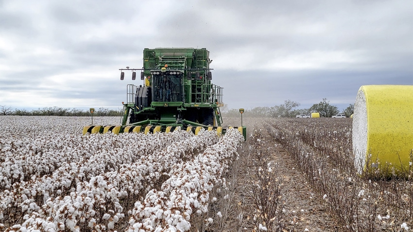 randall-bankhead-cotton-harvest