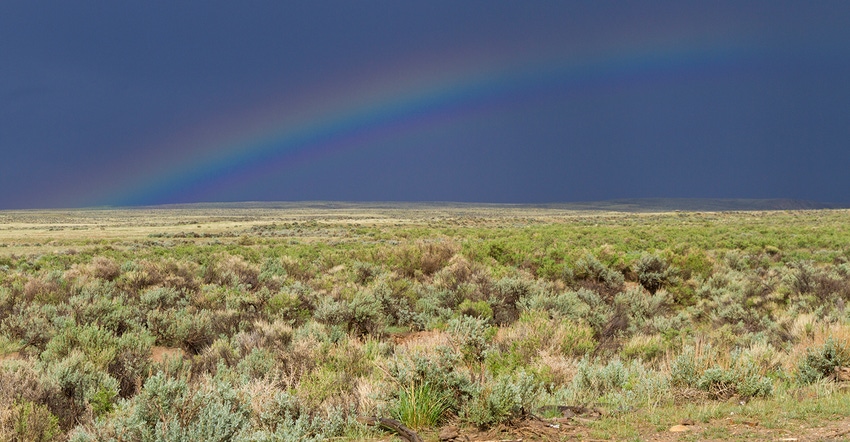 rainbow on rangeland