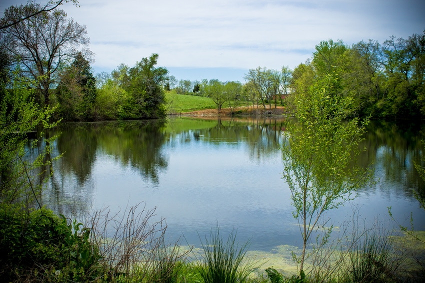 farm-pond-Shelbyville-TN-GettyImages-668054694.jpg