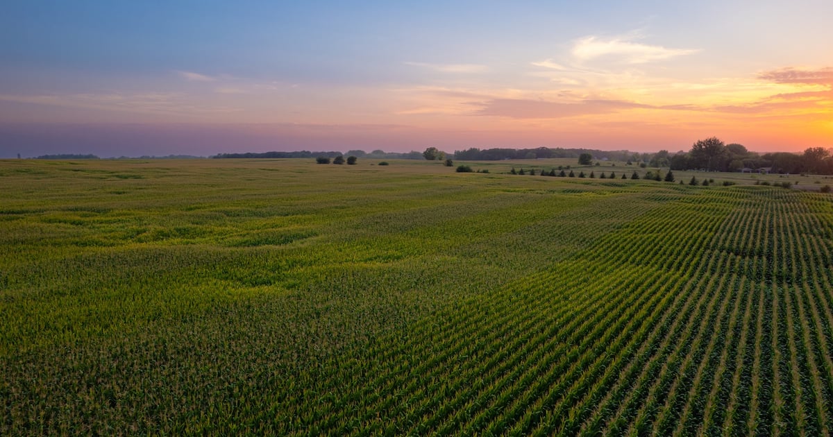 Farmland values surge past $6,000 per acre nationwide
