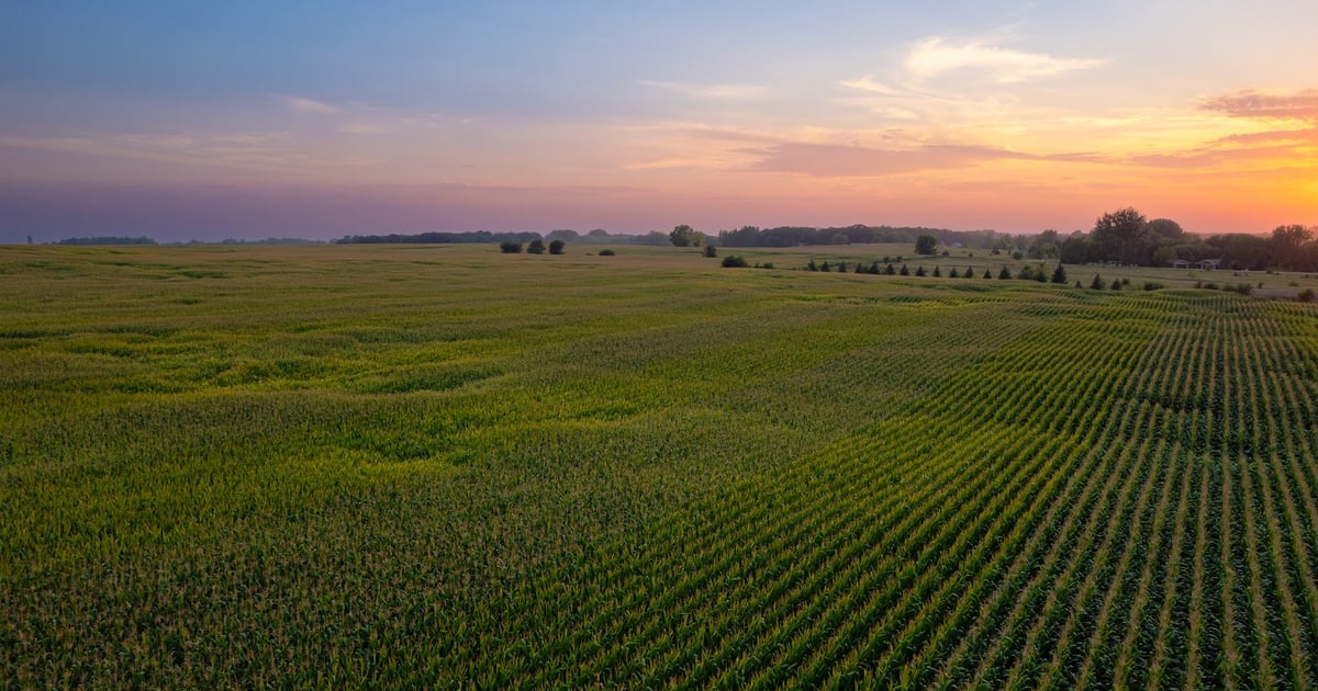 Farmland values surge past $6,000 per acre nationwide
