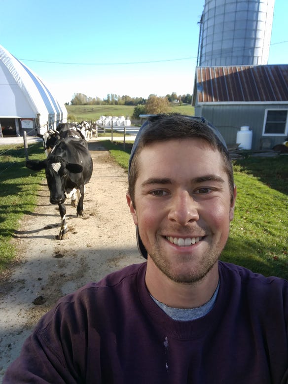 Mathieu Choiniere with dairy cattle on farm