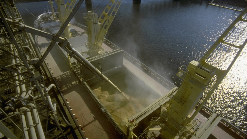 Wheat being loaded on a cargo ship