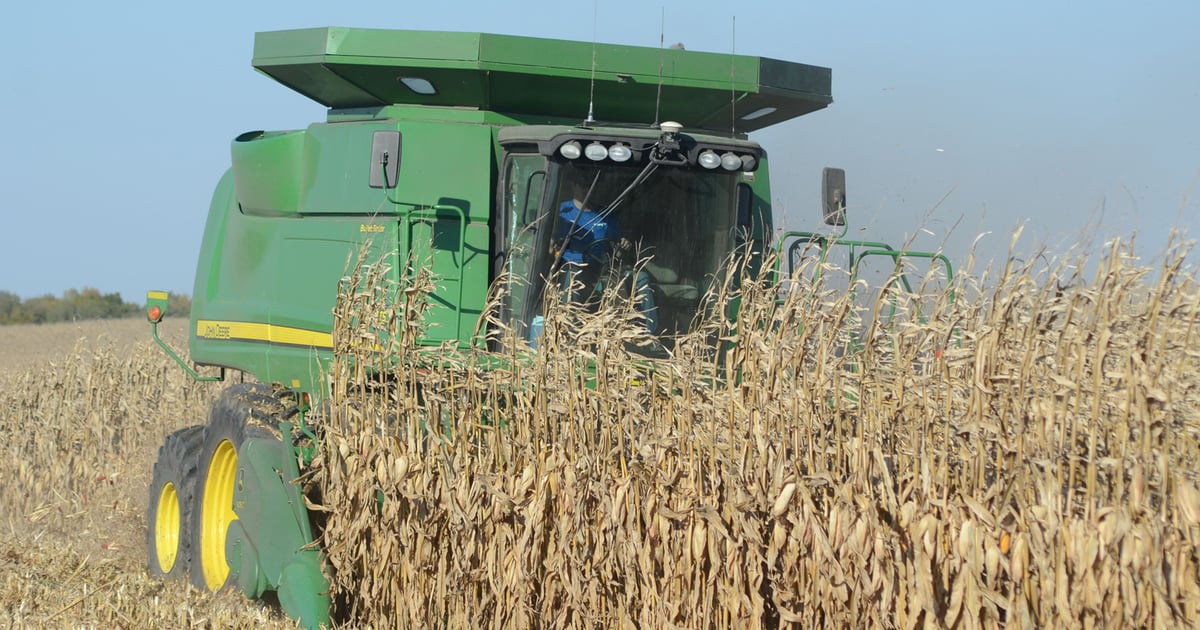 Kansas Corn members take leadership roles