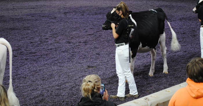 Junior Holstein Show at World Dairy Expo