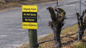Organic zone