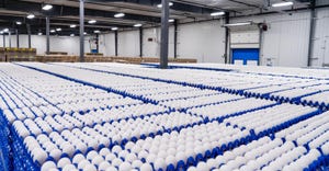 eggs inside factory