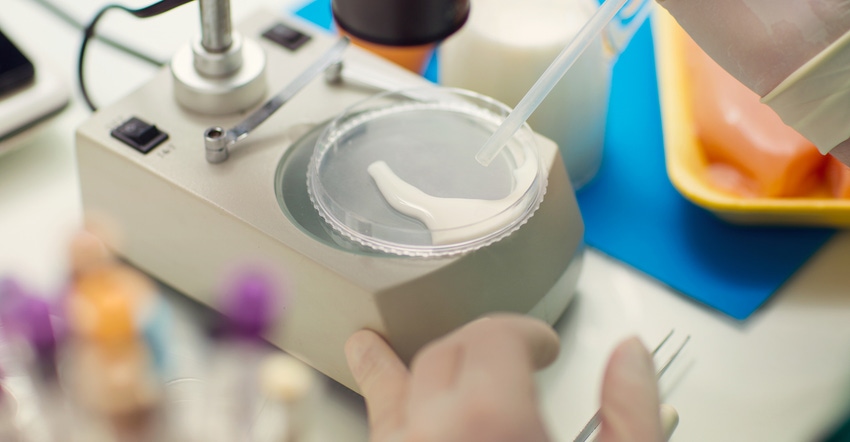 milk being inspected under microscope