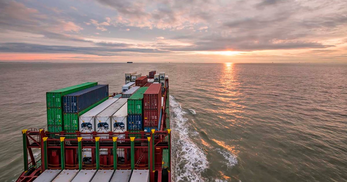 Export sales: Grains struggle to find positive footing